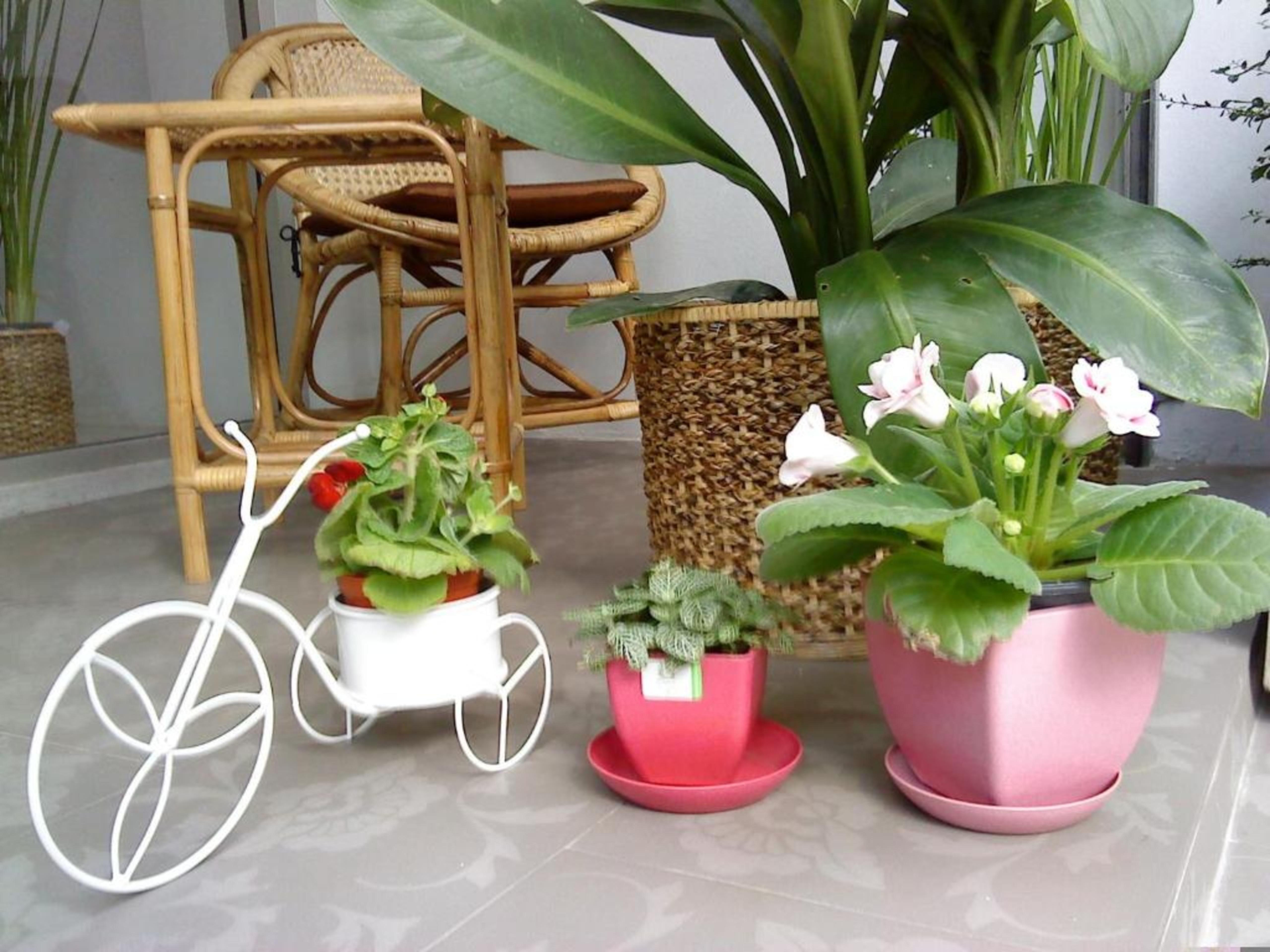 Marhaba House Otel Chiang Mai Dış mekan fotoğraf